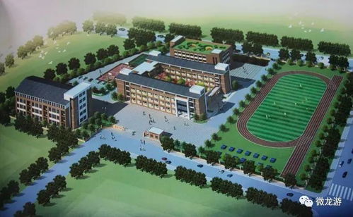 重磅 西门小学 实验幼儿园两大教育集团成立,龙游教育 航母 将启
