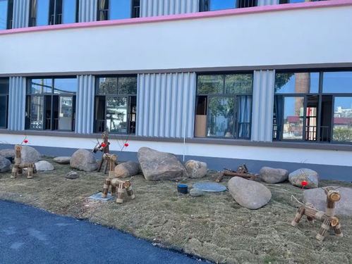 龙游实验幼儿园等两所公办园即将开学，优质学前教育资源再扩容